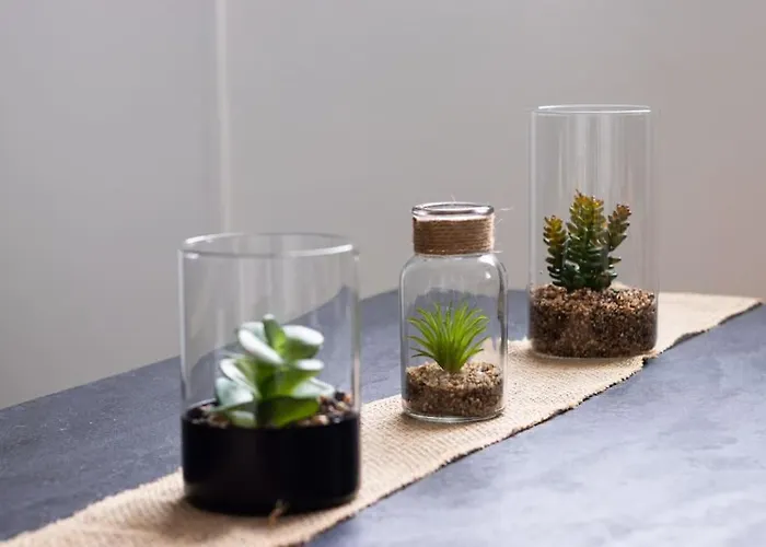 Evasion Et Confort Des 24h Du Mans * Le Mans